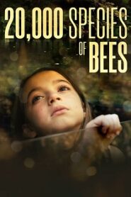 20 000 gatunków pszczół (2023) Obejrzyj Cały Film Online Już Dziś!
