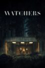 The Watchers (2024) Obejrzyj Cały Film Online Już Dziś!