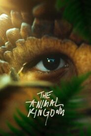 Królestwo Zwierząt (2023) Obejrzyj Cały Film Online Już Dziś!