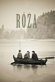 Róża (2012) Obejrzyj Cały Film Online Już Dziś!